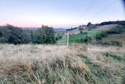 Teren de 3739 mp, în Feleacu - 5