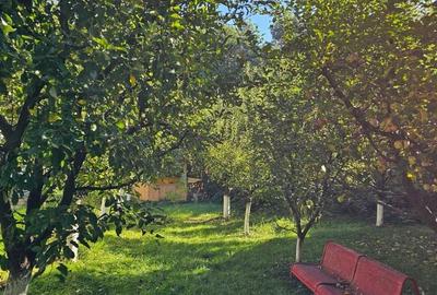 Casă cu 4 camere în Bistrița - 7
