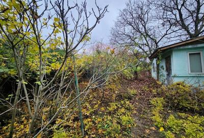 Teren 2200 mp + Casă, sat Frasinu, Giurgiu - 5