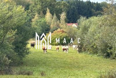 Teren agricol intravilan de 4717 mp, în Sadu - 3