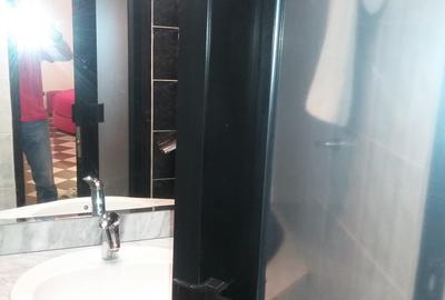 Garsonieră de închiriat pe bulevardul Decebal - 4