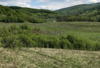 Teren de 1500 mp, în Făget