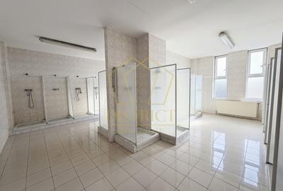 Spațiu comercial, de 3,219 mp, în Șagului - 3