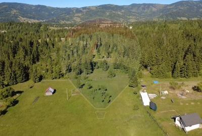 Teren Construcții intravilan de 19370 mp, în Neagra Șarului - 6