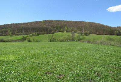 Teren de 4300 mp, în Valea Mare - 2