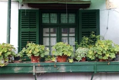 Casă cu 2 camere în Târnăveni - 1