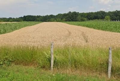 Teren în Merfulești - 2