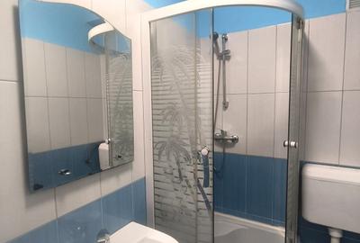 Piața Sudului / Berceni – Studio - 380 EUR - 7