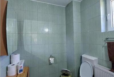 OPORTUNITATE!!! Casa la munte, zona Remeti, drumul Apusenilor! 2 case disponibile!!! - 2