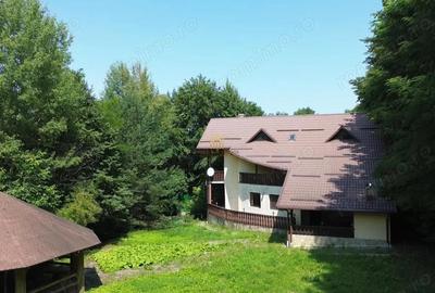 Casă cu 6 camere cu Teren 5200 Mp în Sucevița - 6