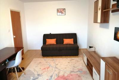 Garsoniera lipovei 250 euro, centrala proprie - 16