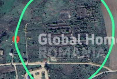 Teren de 13551 mp, în Bucșani - 1