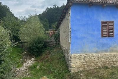 Casă tradițională în Valea Zălanului – acoperiș refacut teren 1.690 m² Casă tradițională în Valea Zălanului – acoperiș refacut teren 1.690 m² - 11