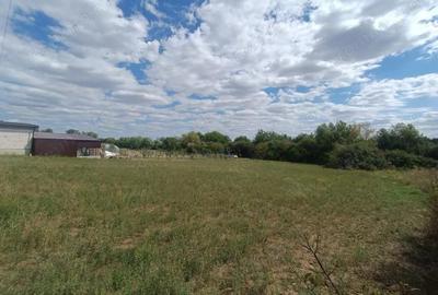 Descopera o oportunitate rara: Teren intravilan- 2.000 mp in Zadareni - 10