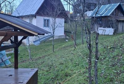 Casă cu 2 camere în Ponor - 8