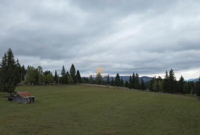 Teren 2804 mp, la munte! In Bucovina Fundu Moldovei! - 3