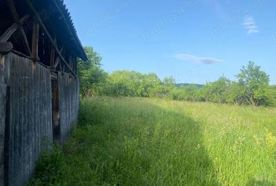 Casă cu 3 camere în Copăceni - 3