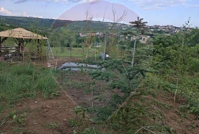 Teren Construcții intravilan de 1200 mp, în Săldăbagiu de Munte - 25