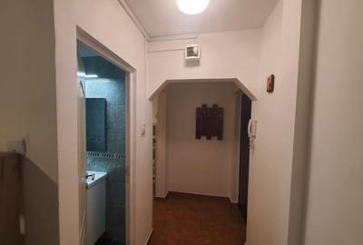 Apartament cu 2 camere decomandat, mobilat în Șagului - 9
