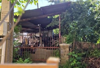 Casă cu 2 camere cu Teren 600 Mp în Elisabetin - 5