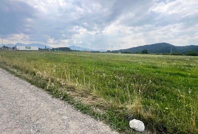 Teren Construcții extravilan de 10800 mp, în Hărman - 6