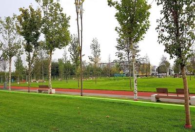 Vanzare spatiu comercial, investitie cu venit imediat, Drumul Binelui - 16