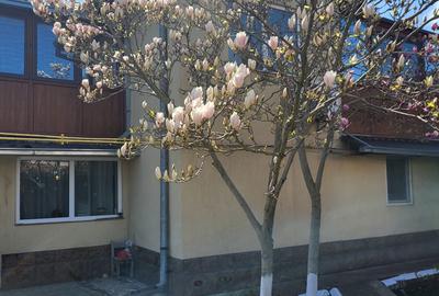 Casă individuală cu 4 camere cu Teren 360 Mp în Năvodari - 20