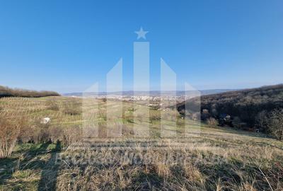 Teren Construcții intravilan de 1808 mp, în Cetate - 3