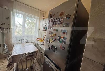 Apartament cu 2 camere semidecomandat în Gojdu - 6