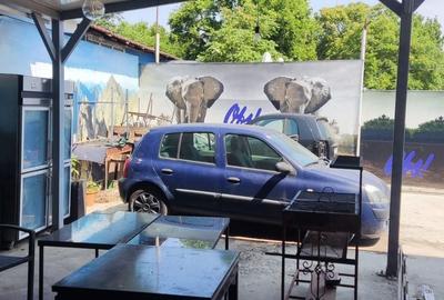 Hala ideal  depozitare Giurgiului - 4
