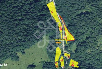 Teren de 2482 mp, în Ciupercenii Noi - 3