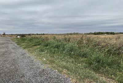 Teren Construcții intravilan de 15000 mp, în Ionești - 6