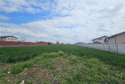 Teren Construcții intravilan de 2691 mp, în Vârteju - 8