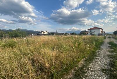 Teren Construcții intravilan de 1000 mp, în Cristian