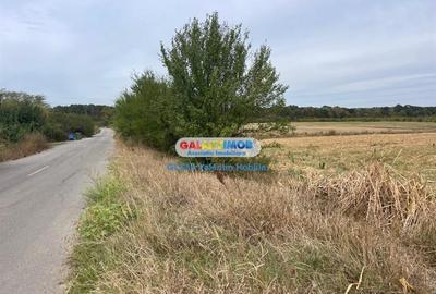 Vanzare teren 3300 mp Peris -deschidere padurea Scrovistea - 4