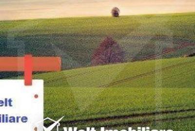 Spațiu comercial, în Chinteni - 2