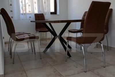 Vila in regim P+1, 250 mp2 utili, zona Ford - 4