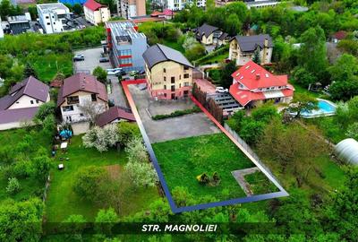 Spațiu comercial, de 715 mp, în Săsar - 9