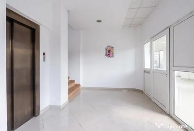 Spațiu comercial, de 250 mp, în Ferdinand - 11