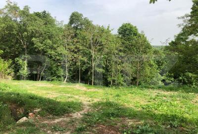 Teren intravilan, parcelat 7600+5700+1400, Manastirea Dealu - 3