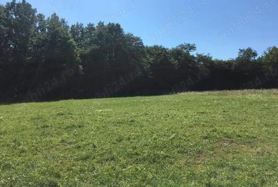 Teren de 5400 mp, în Oglinzi - 1