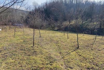 Teren de 1800 mp, în Ciclova Română - 14