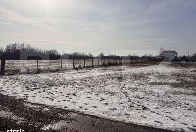 Spațiu comercial, în Priseaca - 7