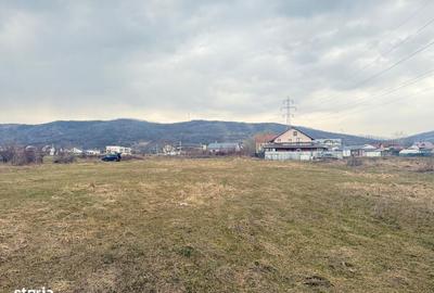 Teren de 3000 mp, în Aninoasa - 3
