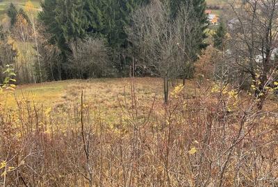 Spațiu comercial, în Băile Borșa - 4