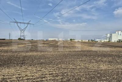 Teren de 15000 mp, în Dumbrăvița - 4