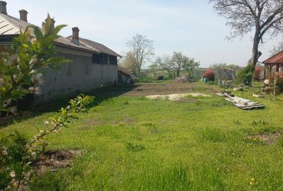 Teren în Victoriei - 5