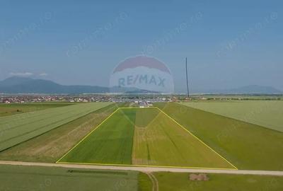 Teren 42,000mp Tarlungeni / Strada Izvor - 13