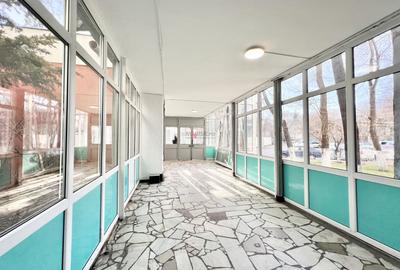 Garsonieră decomandată, mobilată în Costin Georgian - 11