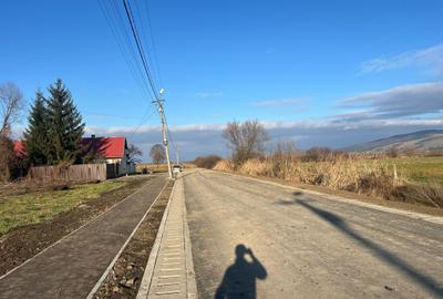 Teren intravilan, 3784 mp, de construit - 6